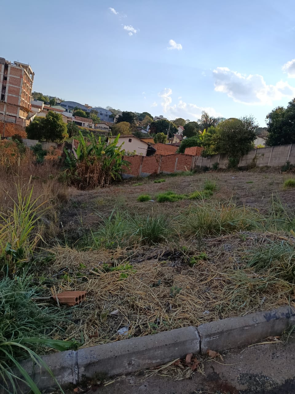 Terreno 450m Vila Silvéria - Imagem 3